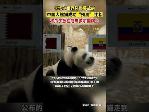 前华夏名将,李铁指挥有,团队管理细,乐竞体育,乐竞体育平台,乐竞体育官网